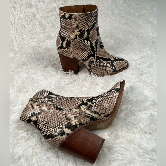 Aldo | Thielle Snake Booties - Picture 1 of 10